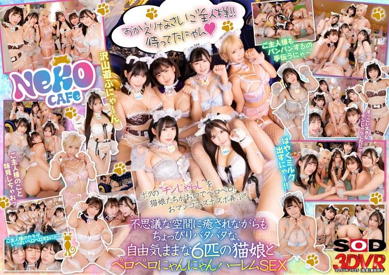 【天咲ひめの】 【VR】猫カフェ行ったらまさかの猫娘の登場！？～舐められまくりの自由気ままなにゃんにゃんハーレムSEXだにゃん～