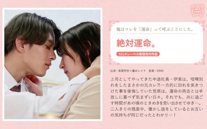 【藤井レイラ】 絶対運命。